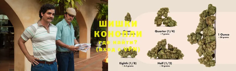 Марихуана THC 21%  цены наркотик  Будённовск 